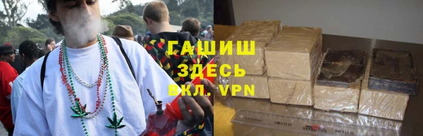 стаф Аркадак