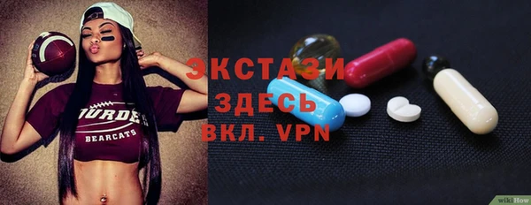 стаф Аркадак