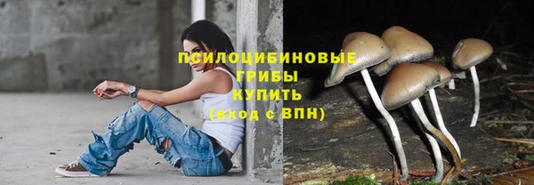 спайс Арсеньев
