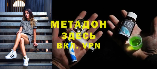 стаф Аркадак