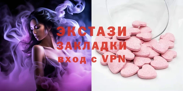 стаф Аркадак