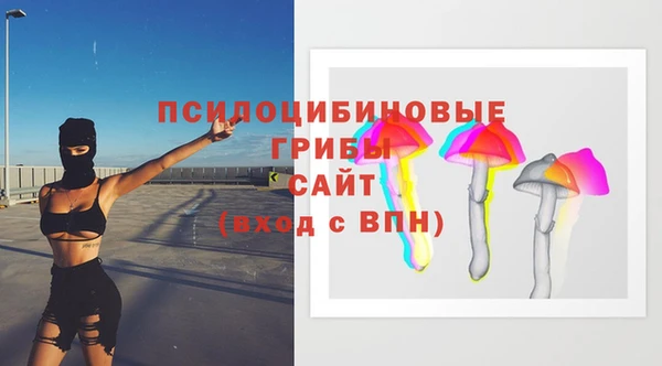 стаф Аркадак