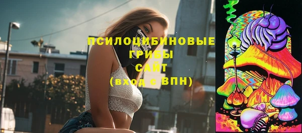 спайс Арсеньев