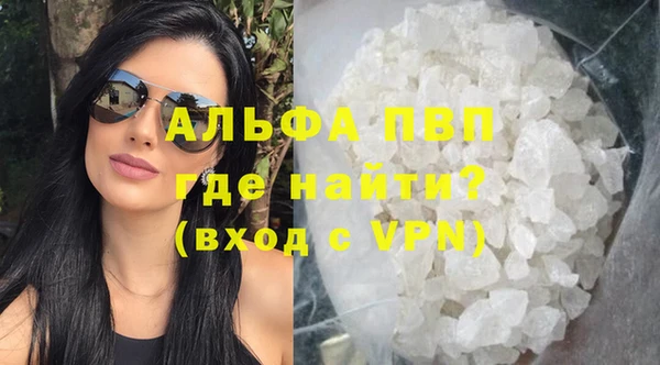 спайс Арсеньев